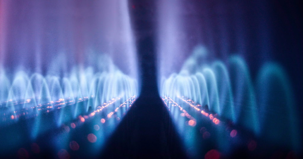 portale CSEA per gasivori